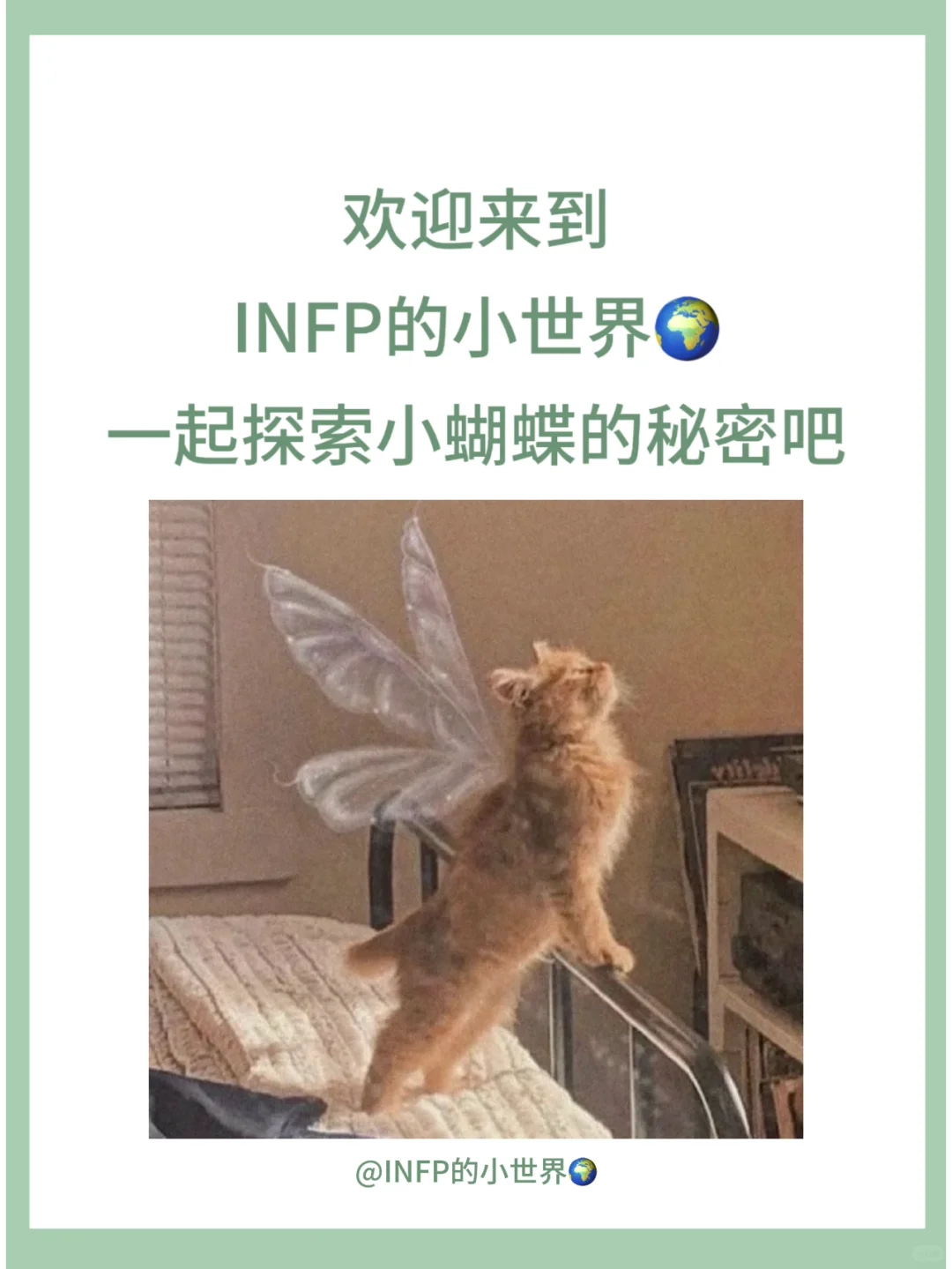 INFP | 那些戳中小蝴蝶内心的歌词
