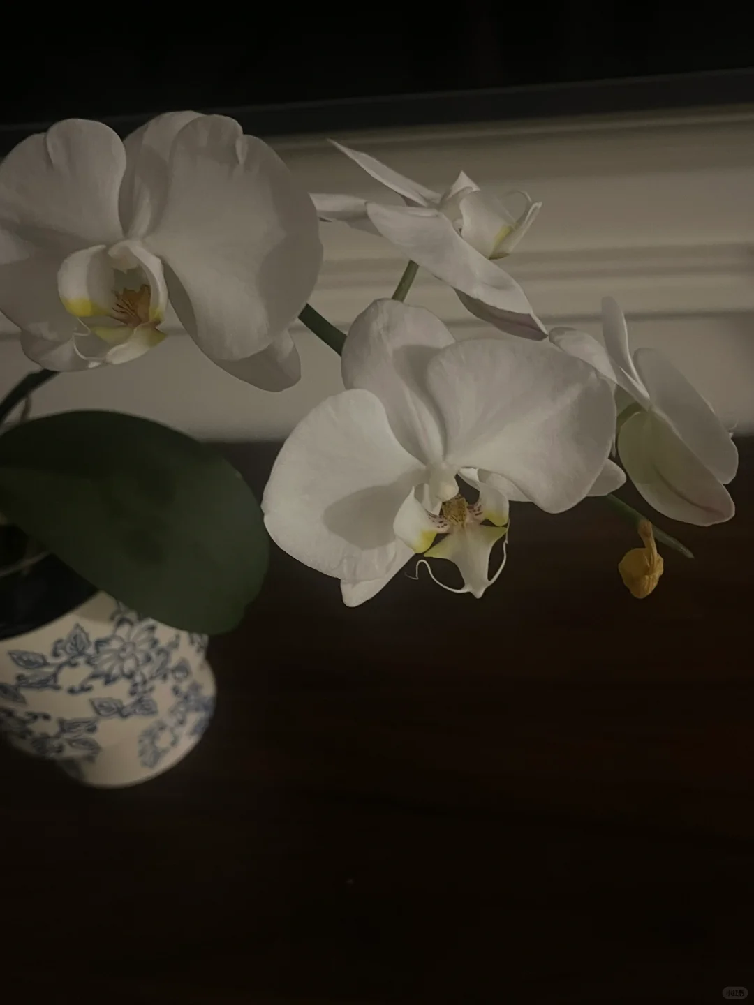 笑一个吧 功成名就不是目的