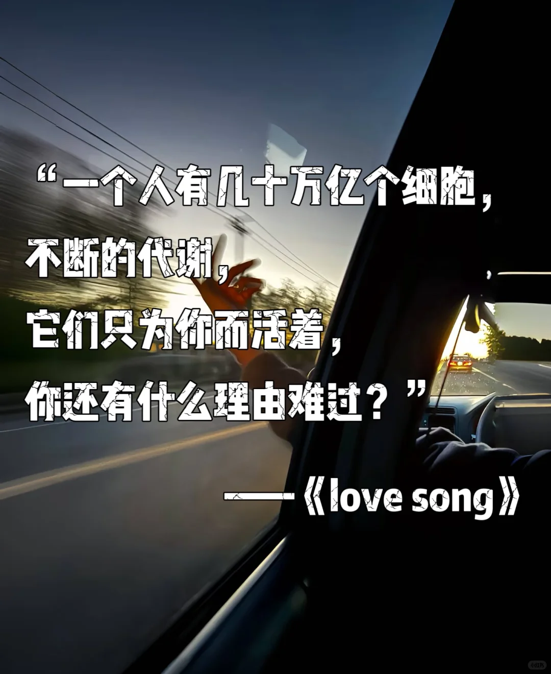 那些年最爱唱的歌网易云热门