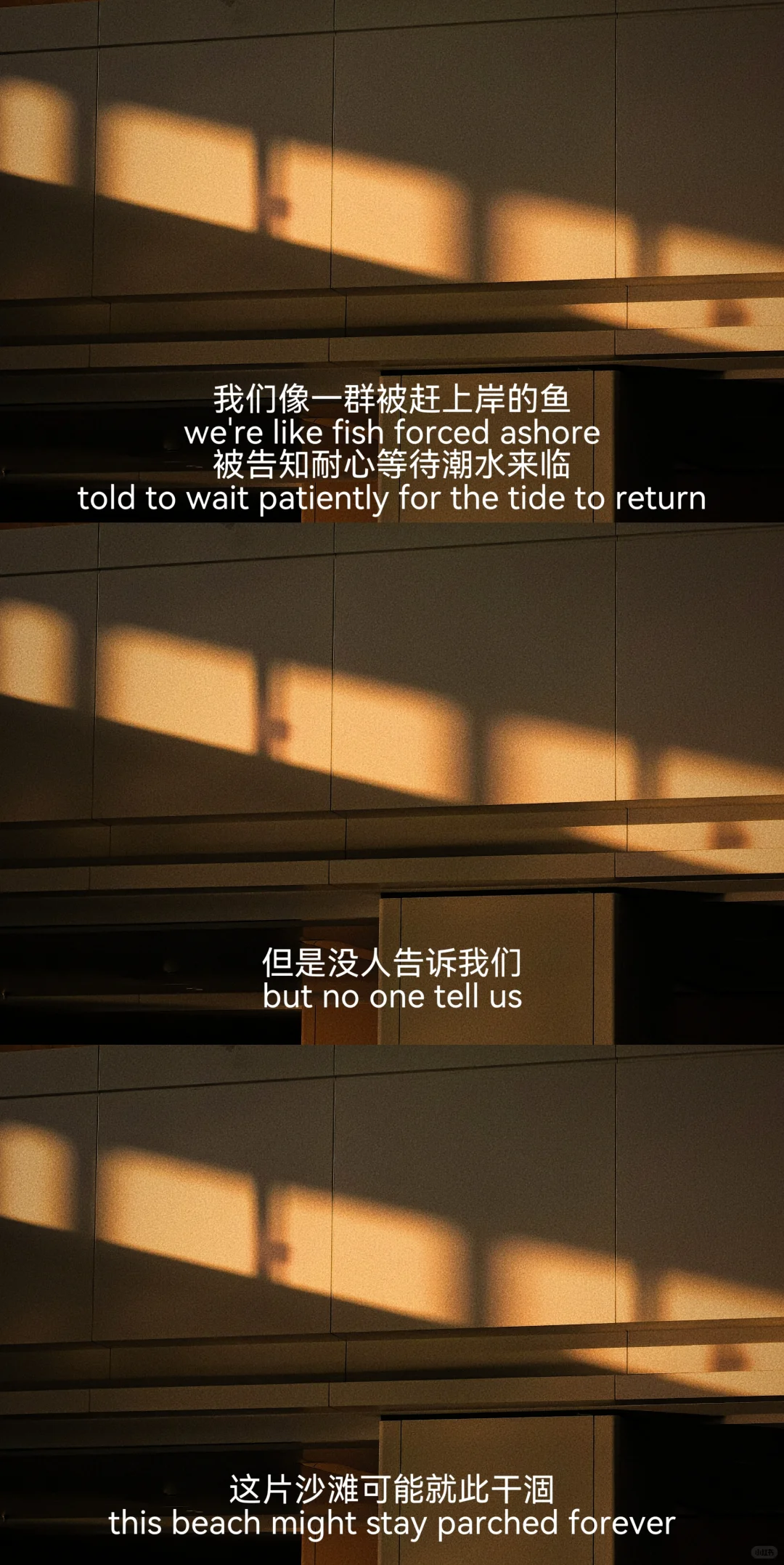 “可是妈妈，我不想等了”