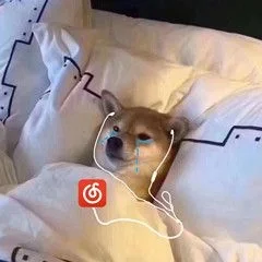 有没有什么网易云推荐emo神曲