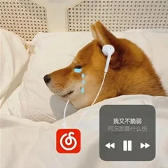 有没有什么网易云推荐emo神曲