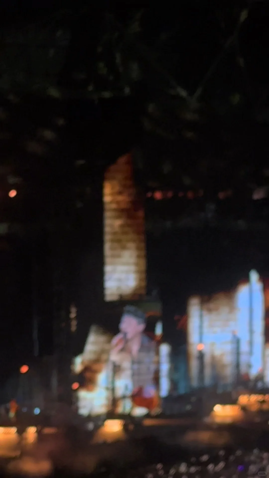 🎤俺也算是和陶吉吉合上影啦！呜呼！