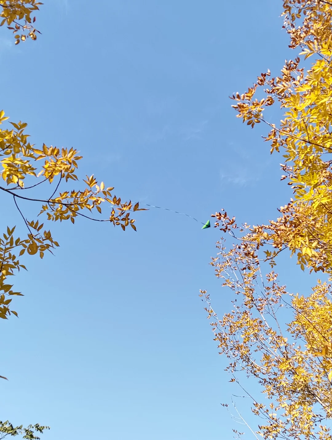 这一周感觉快“燃”尽了。