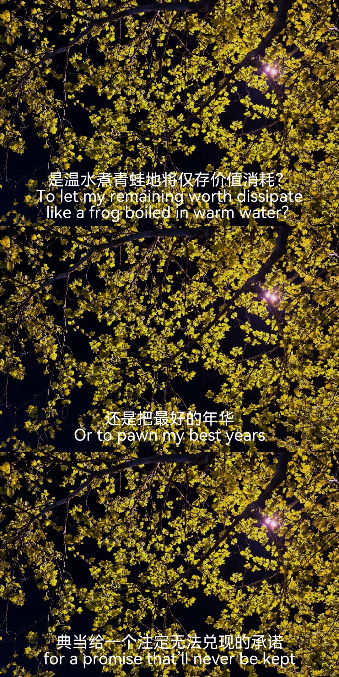 “可是妈妈，我不想等了”