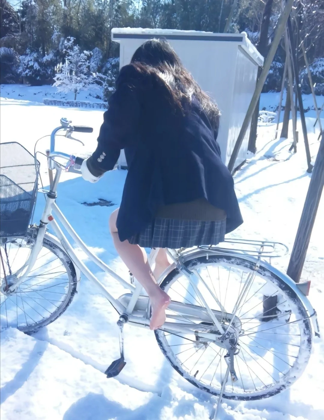 不知不觉又是一年