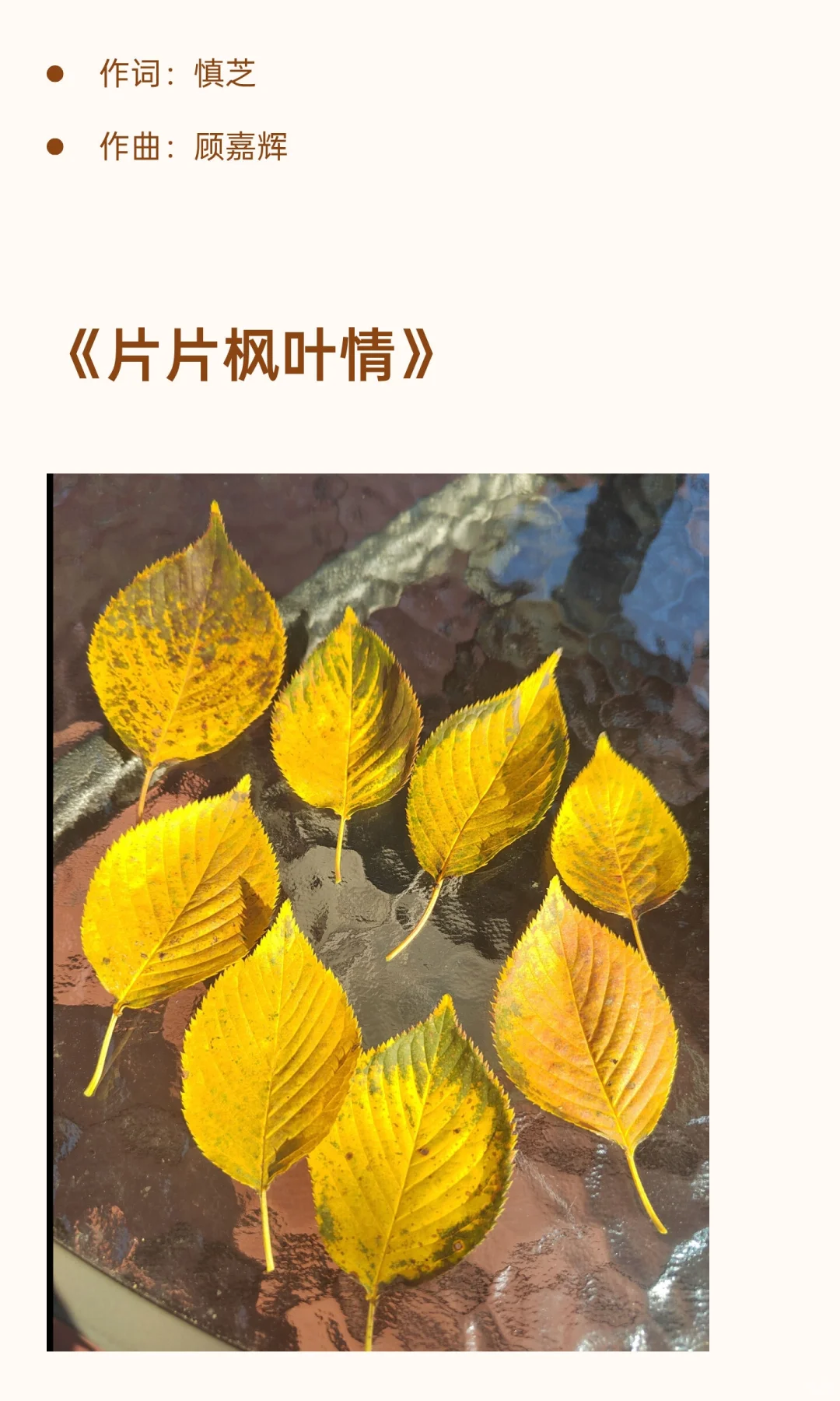 秋天，你会想起哪首歌？有什么故事