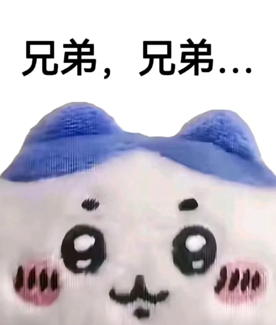 突击检查！你们都在听什么二次元歌！！