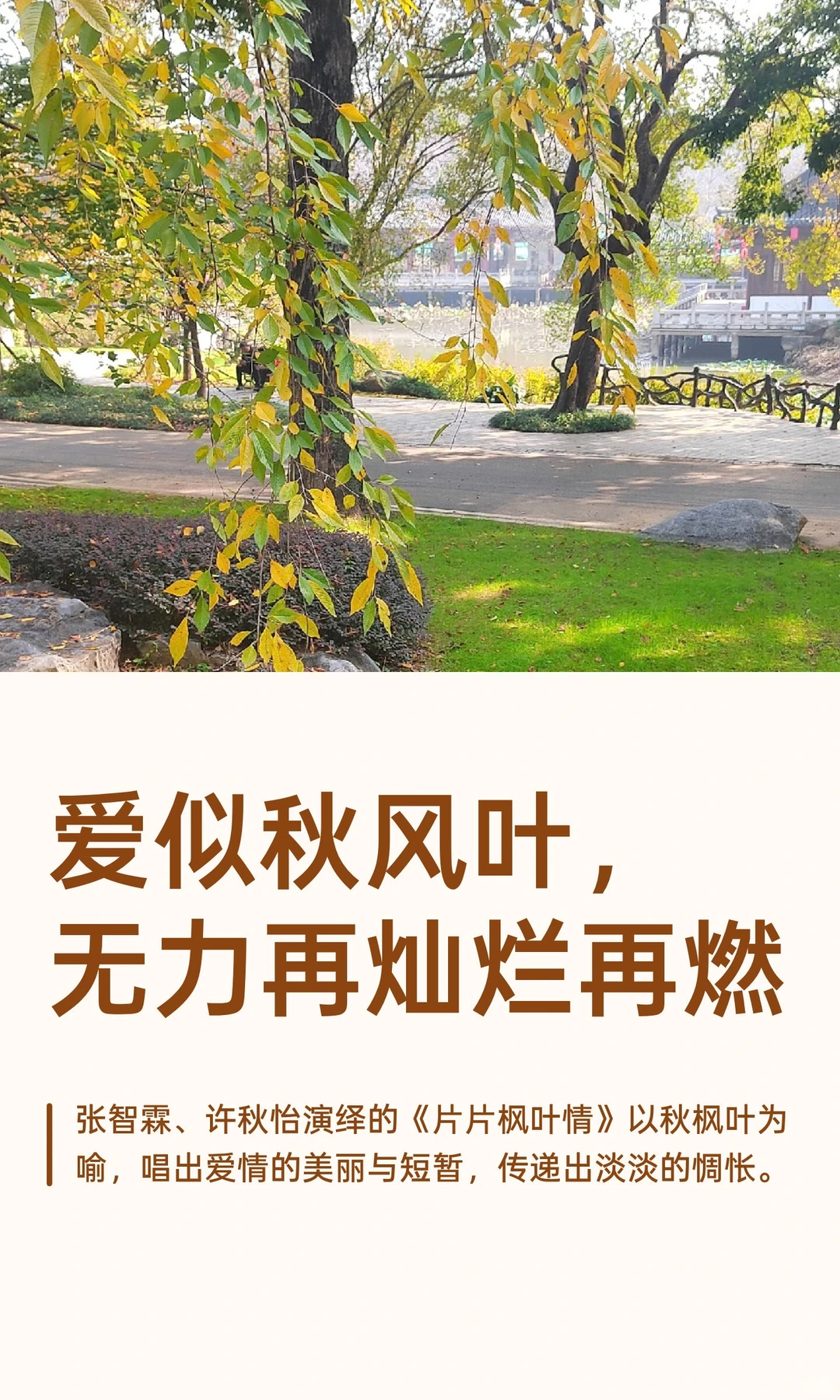 秋天，你会想起哪首歌？有什么故事