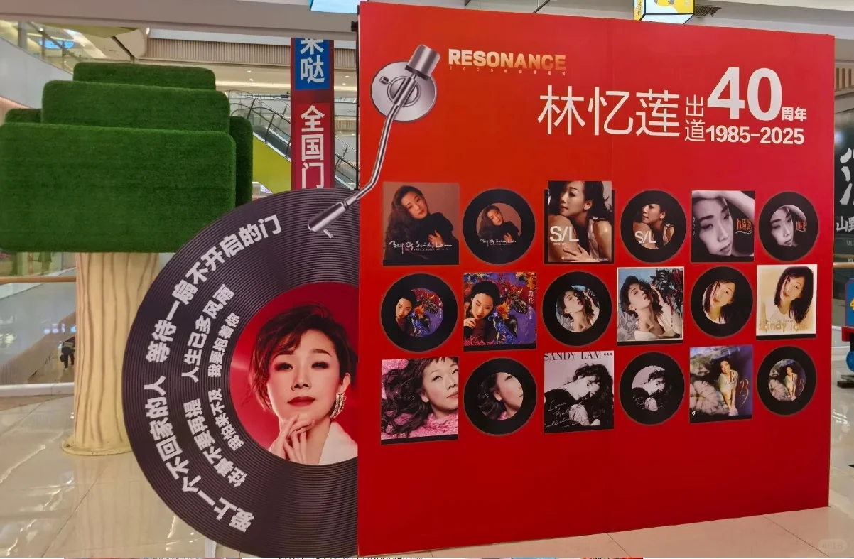 林忆莲歌曲最美歌词100句（一）