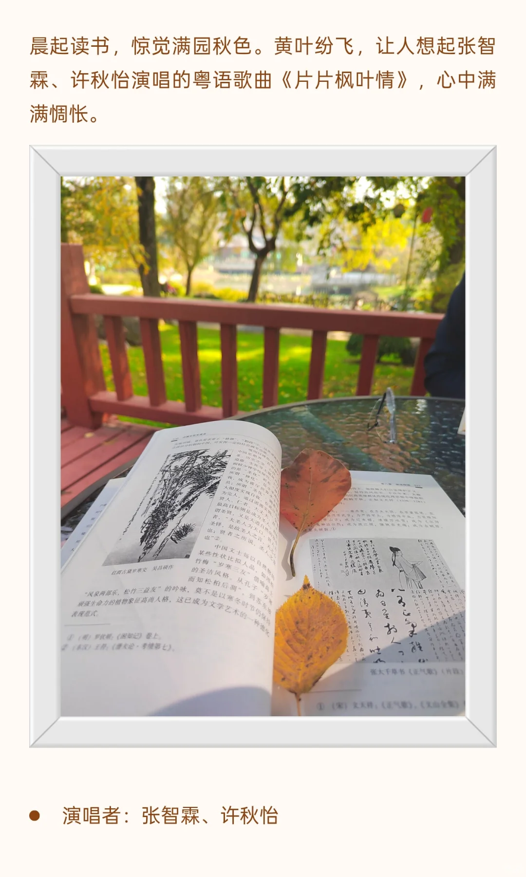 秋天，你会想起哪首歌？有什么故事