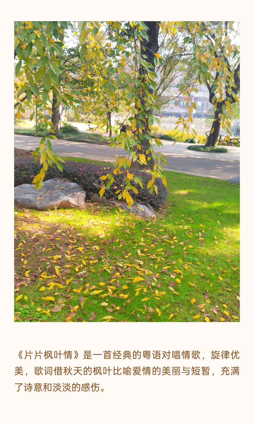 秋天，你会想起哪首歌？有什么故事