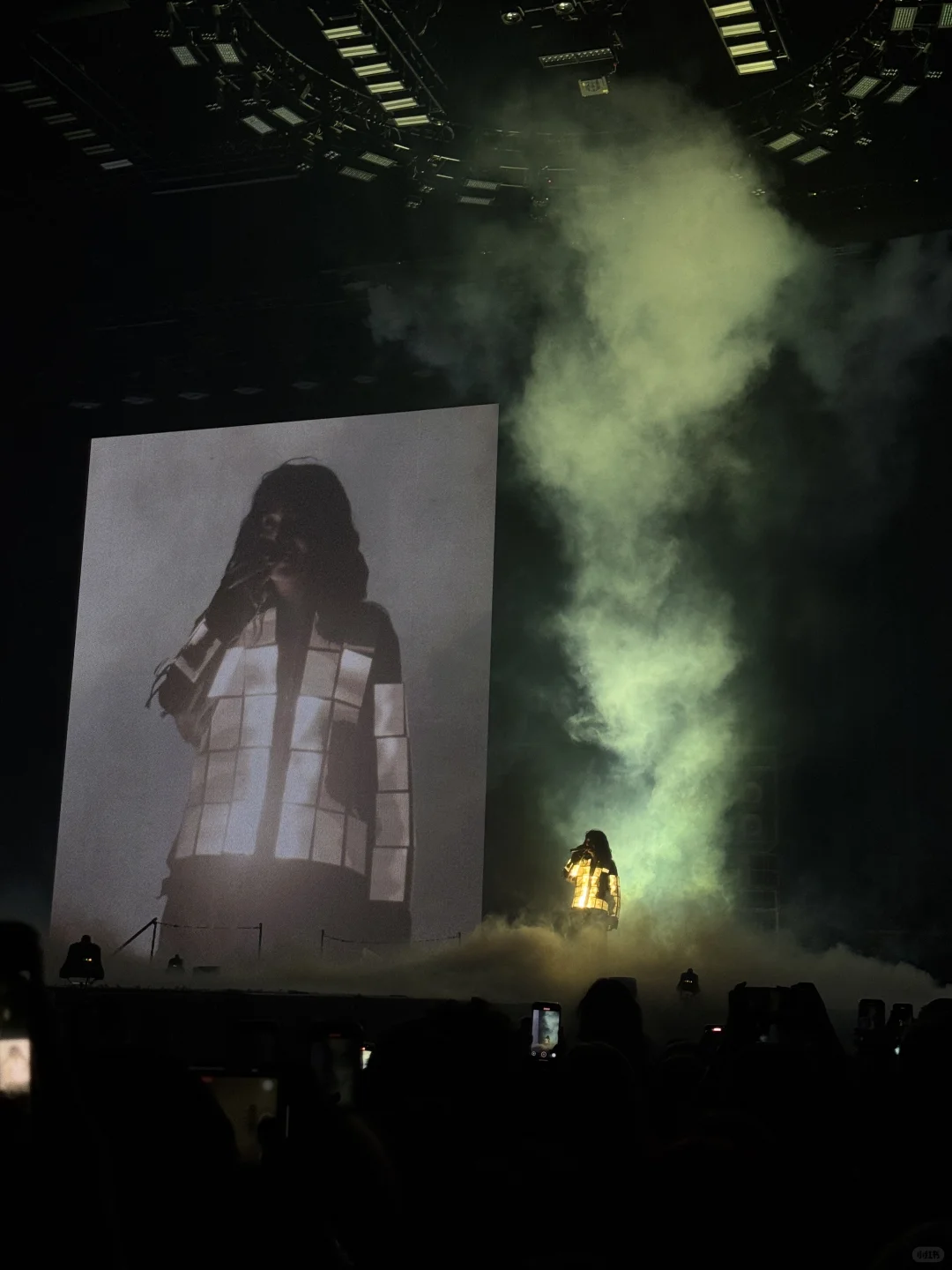 Lorde演唱会完全是个伟大的艺术品