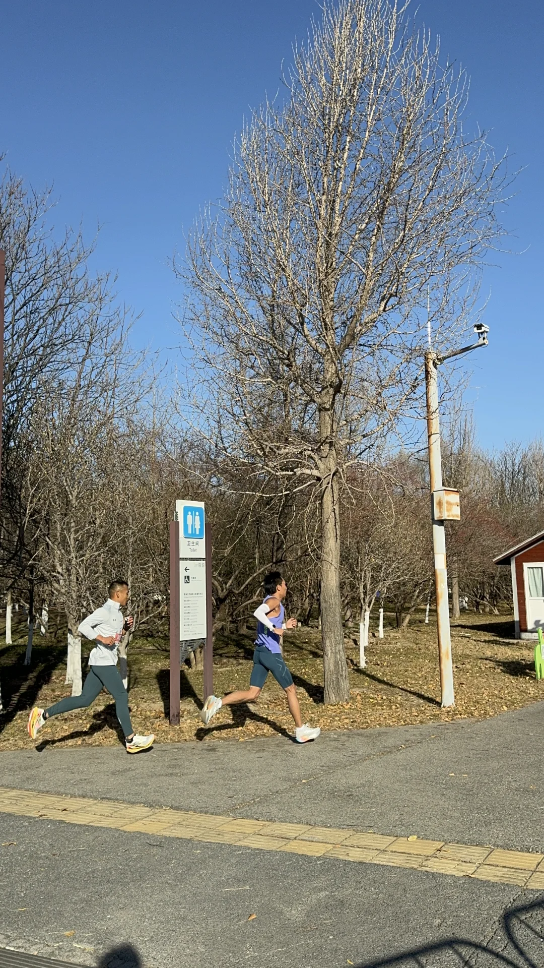 锐进四季奥森半马捡漏第二