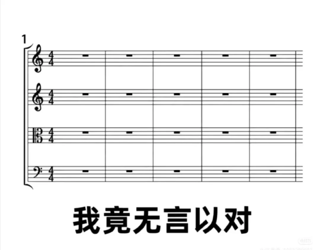 音乐生太会表达情绪啦叭😙