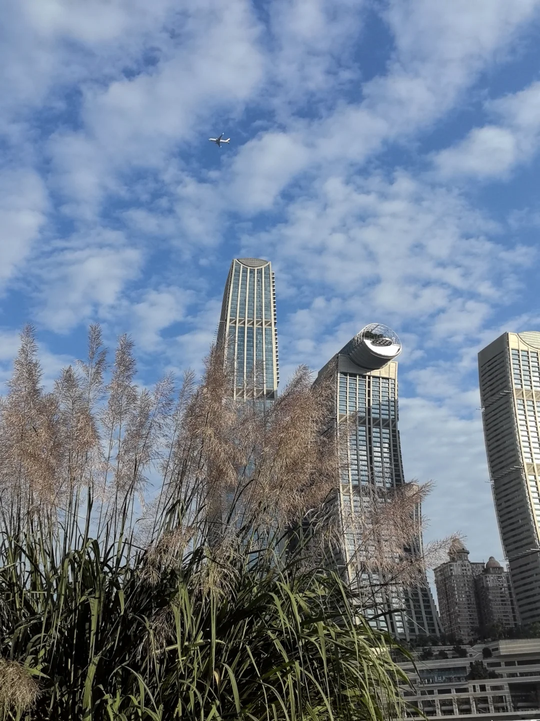 阳光灿烂的日子