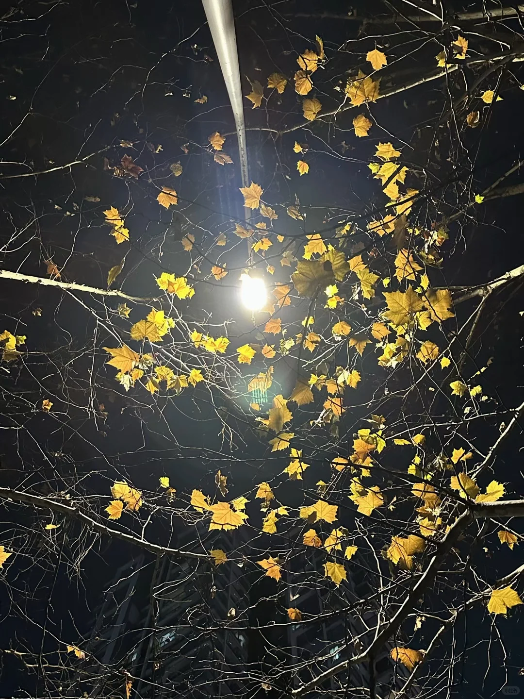 实况配音乐，真的绝美～～