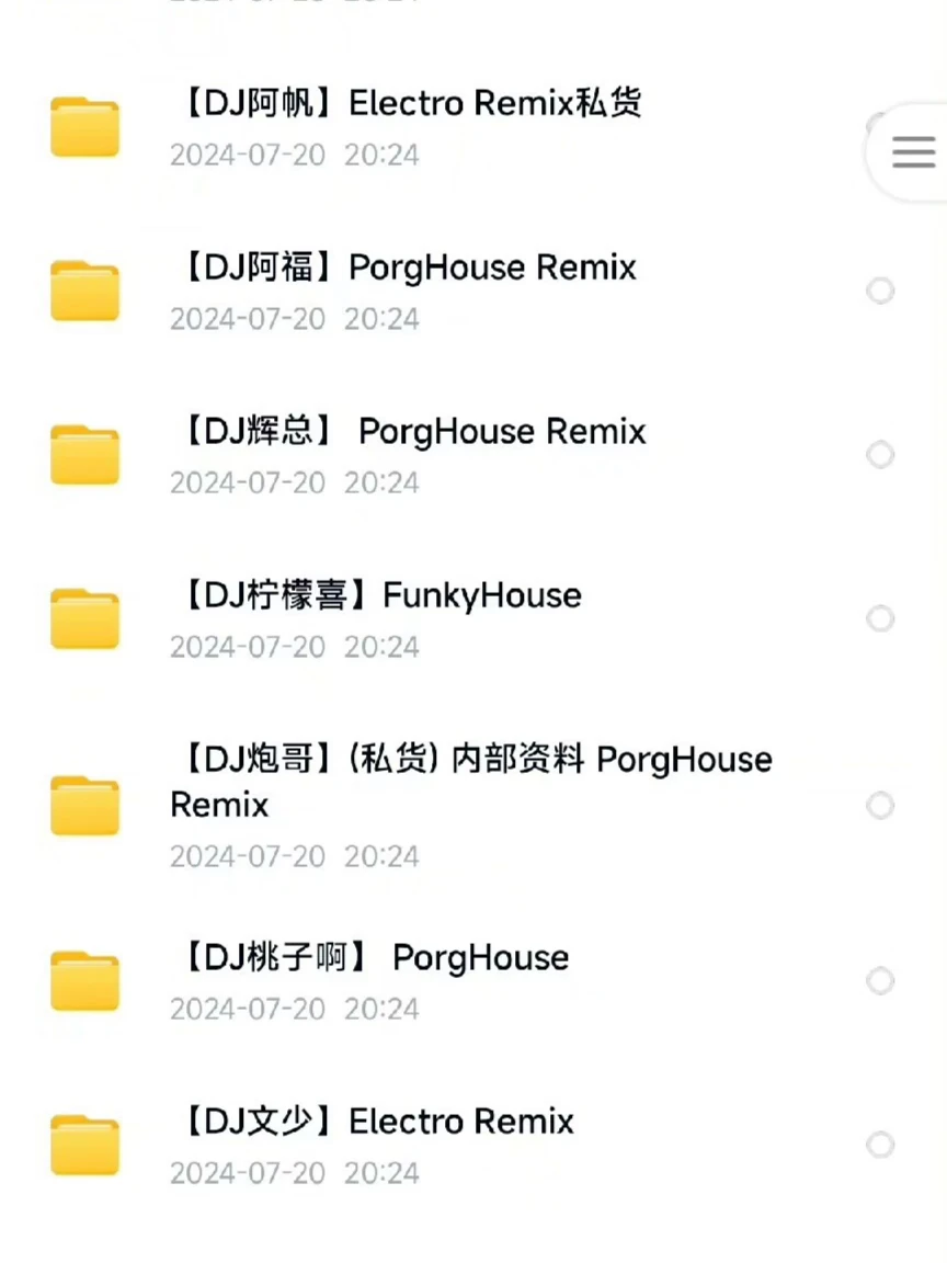 《DJ精选集：219g音乐盛宴》