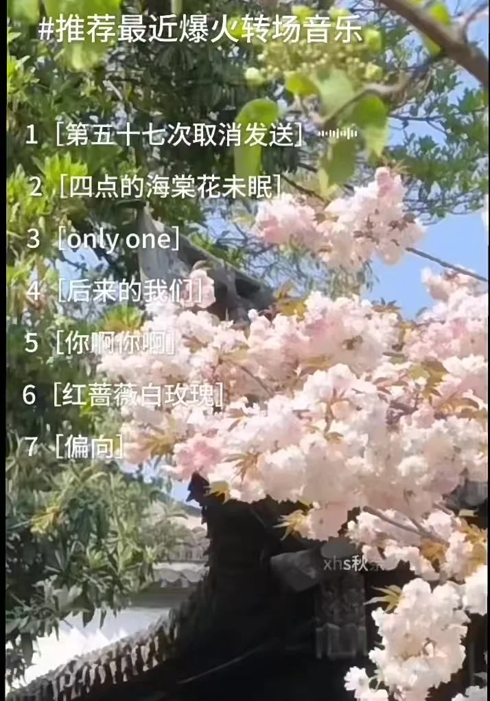 最近全网超火的歌