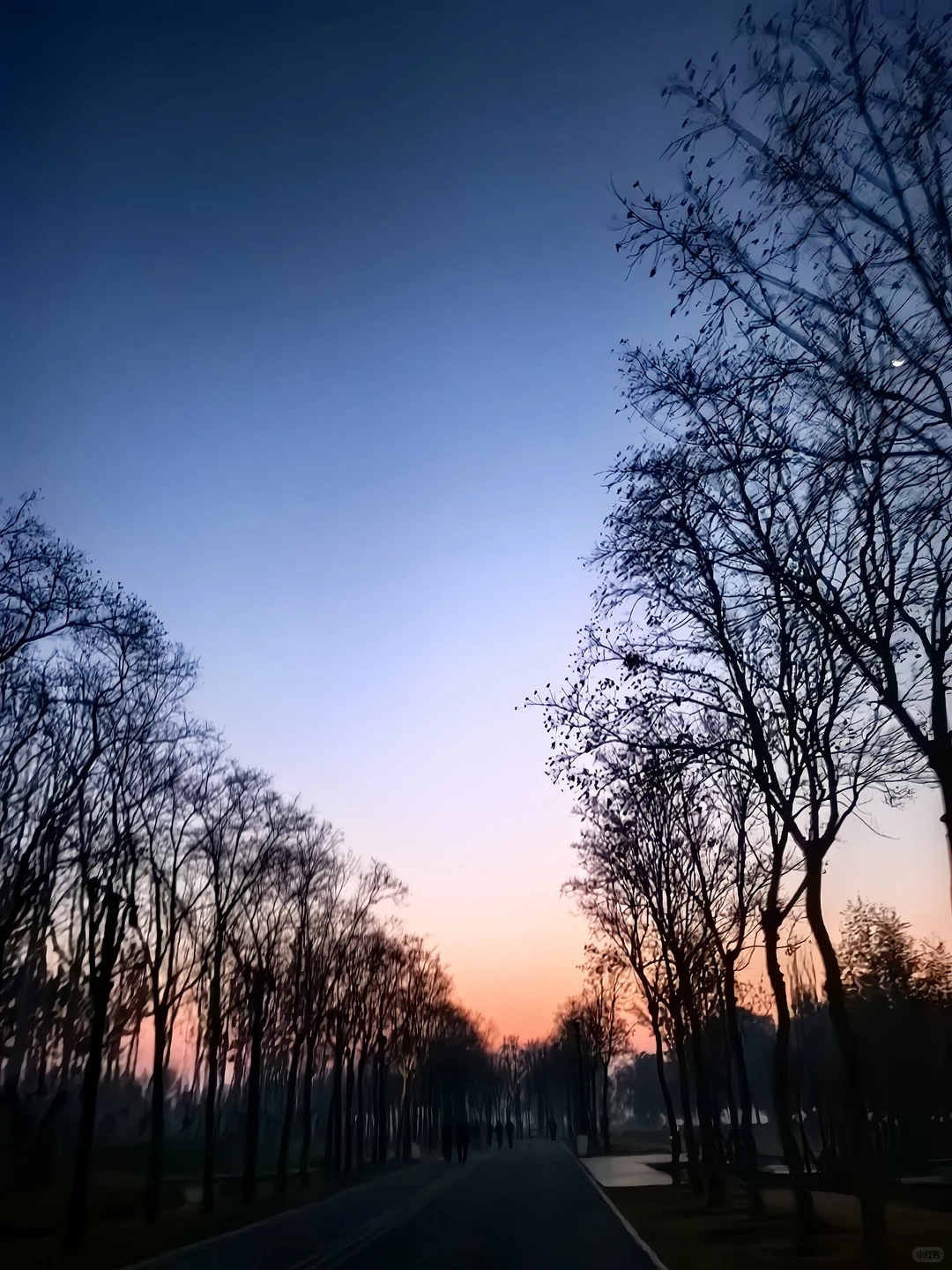 🏃🏃🏃周末的快乐来自于晨跑16公里