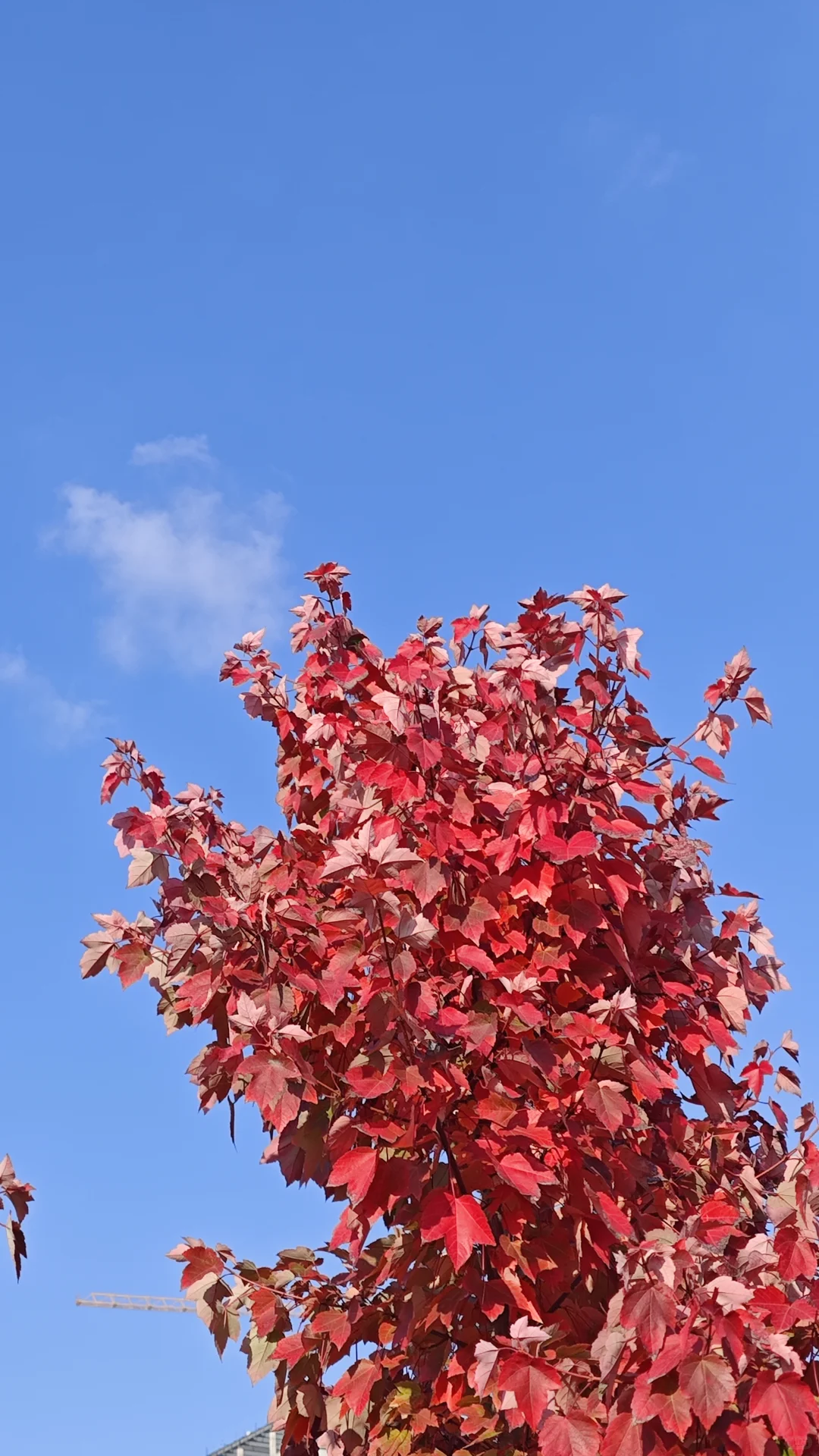 跑起来啦🏃‍♀️