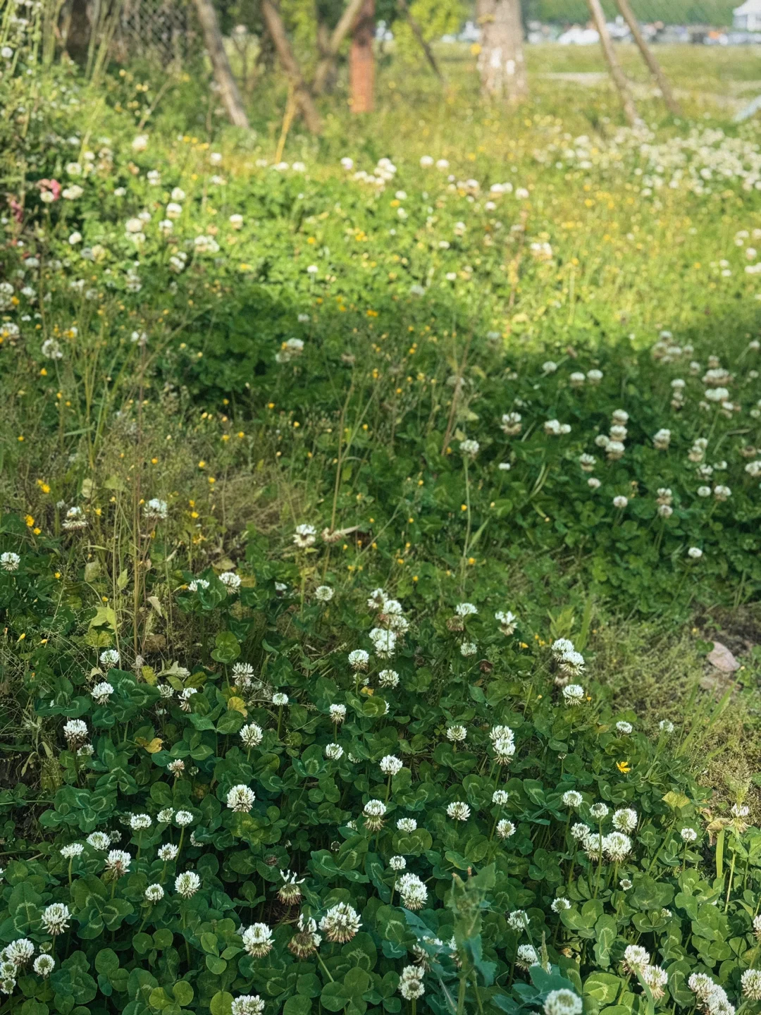 一条路.一首歌曲🎵单曲循环的5️⃣km