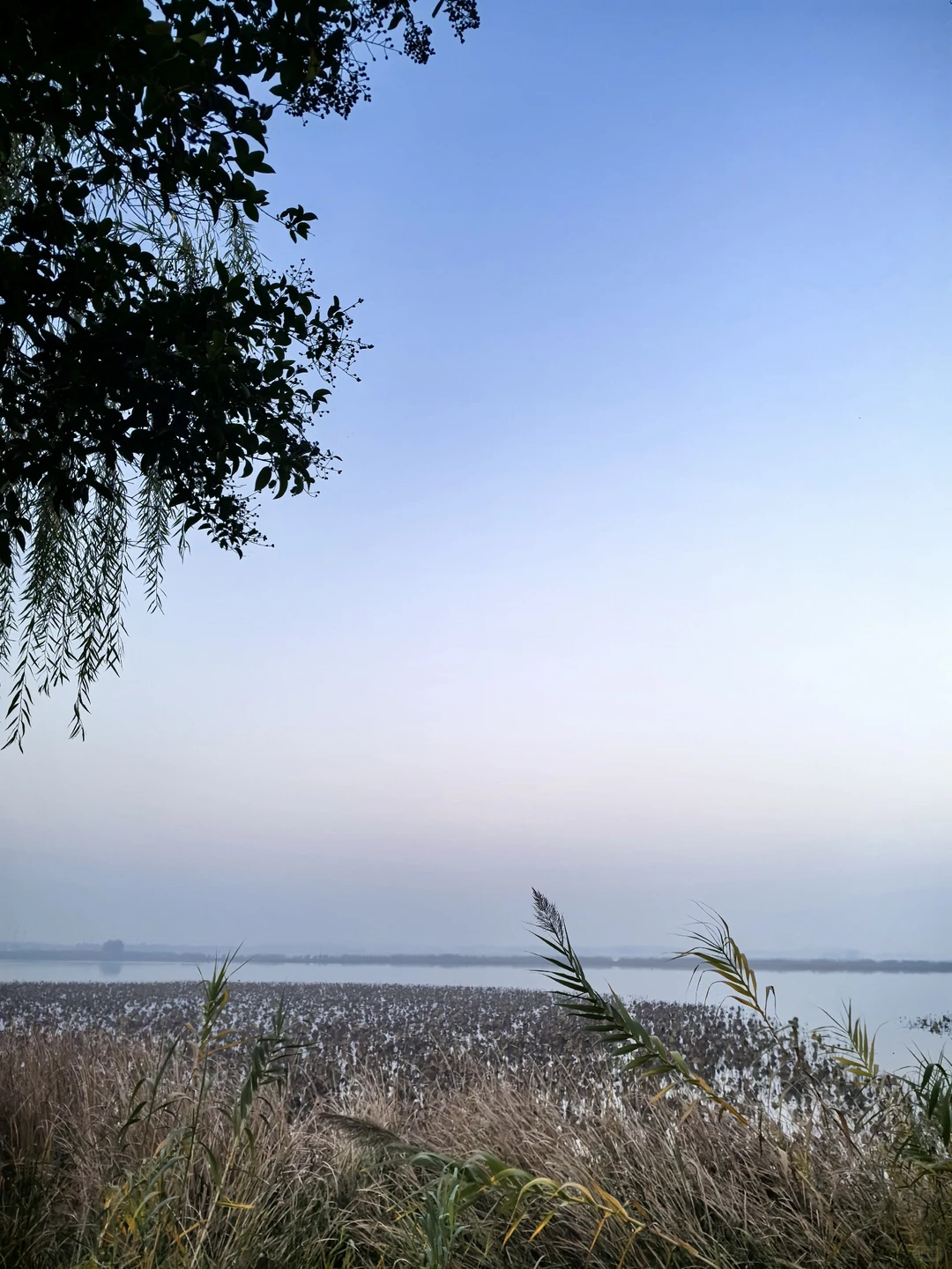 🏃🏃🏃周末的快乐来自于晨跑16公里