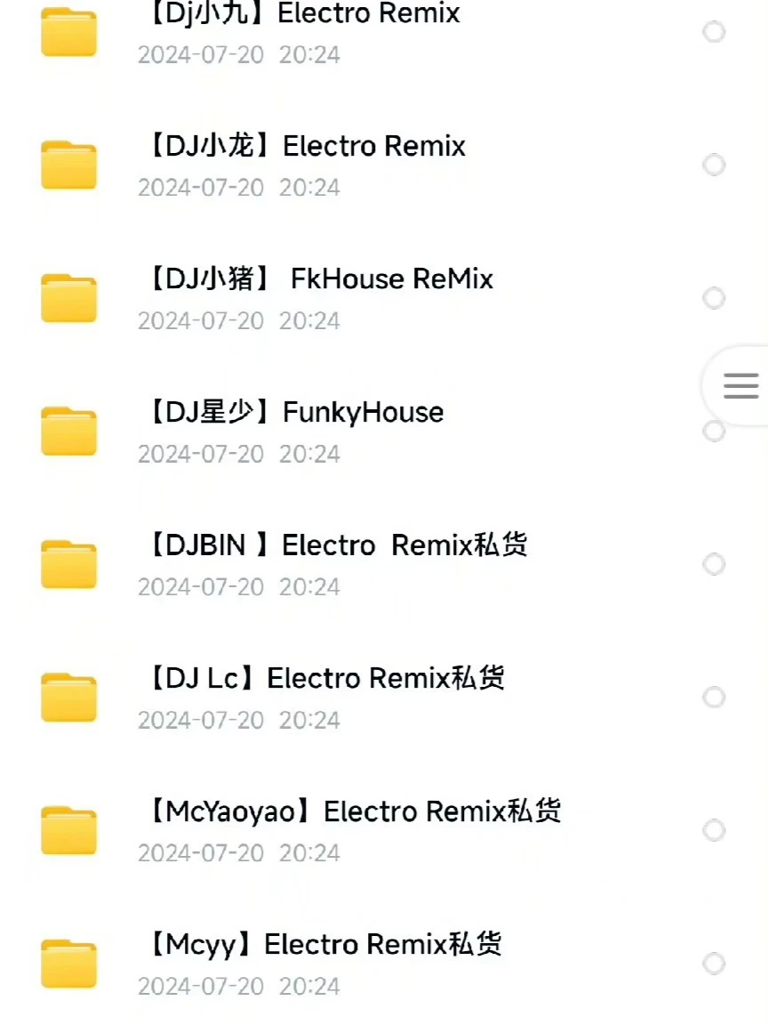 《DJ精选集：219g音乐盛宴》