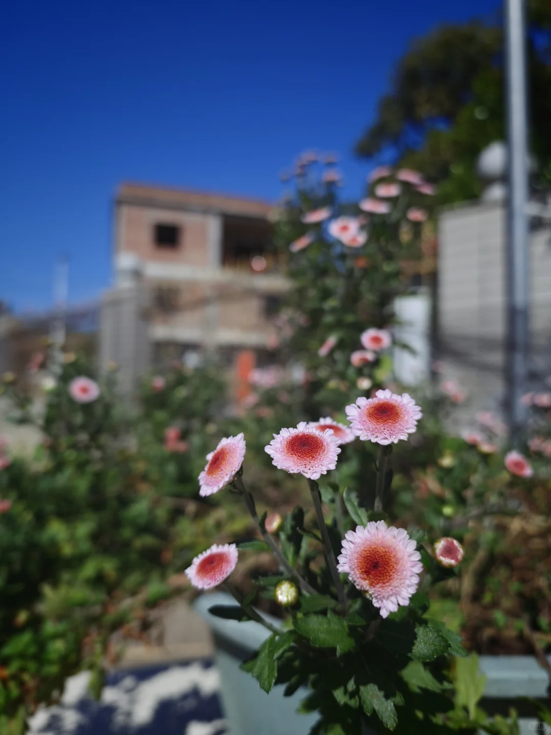 10km✅拒绝不了阳光下奔跑