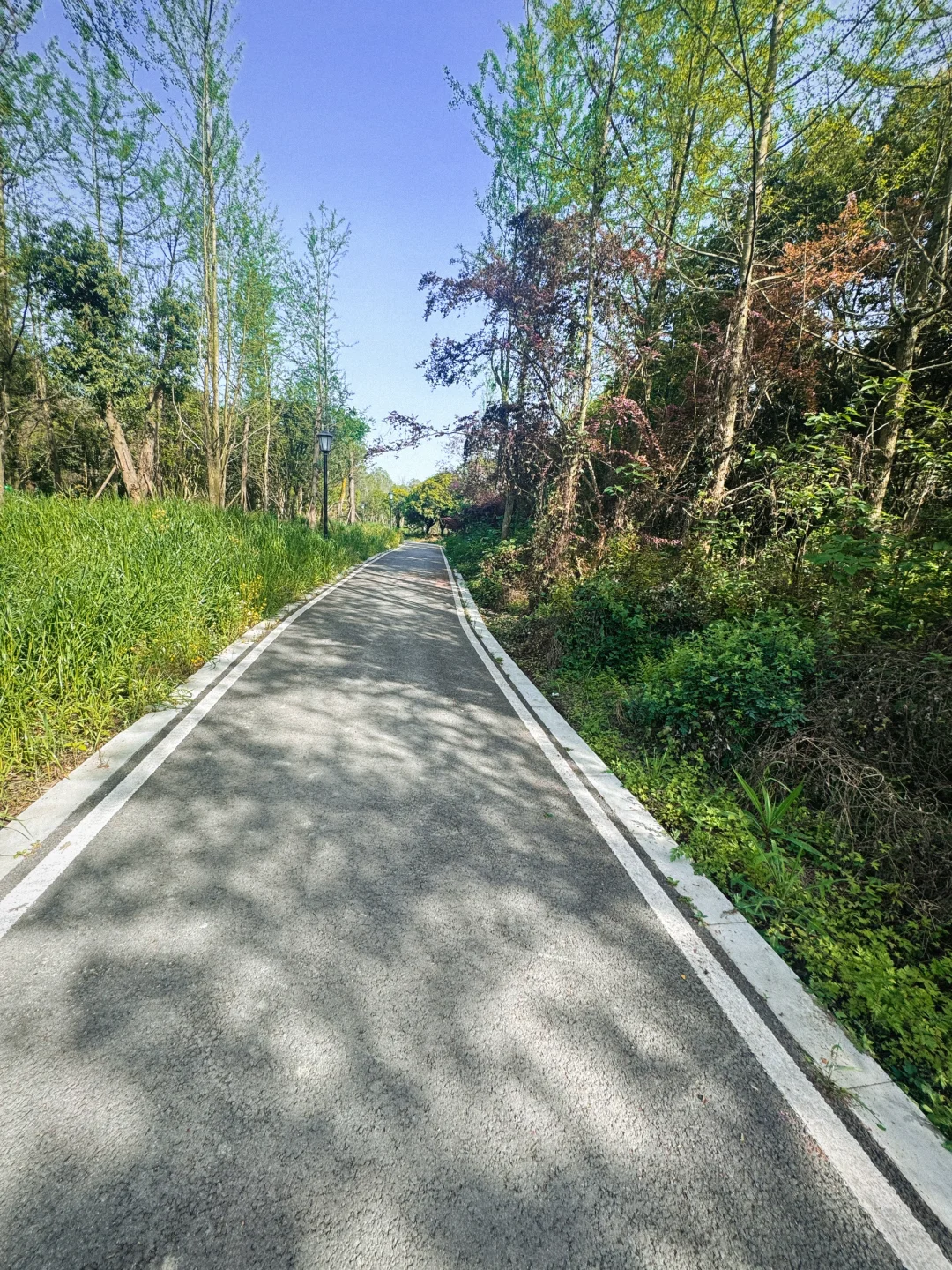 一条路.一首歌曲🎵单曲循环的5️⃣km