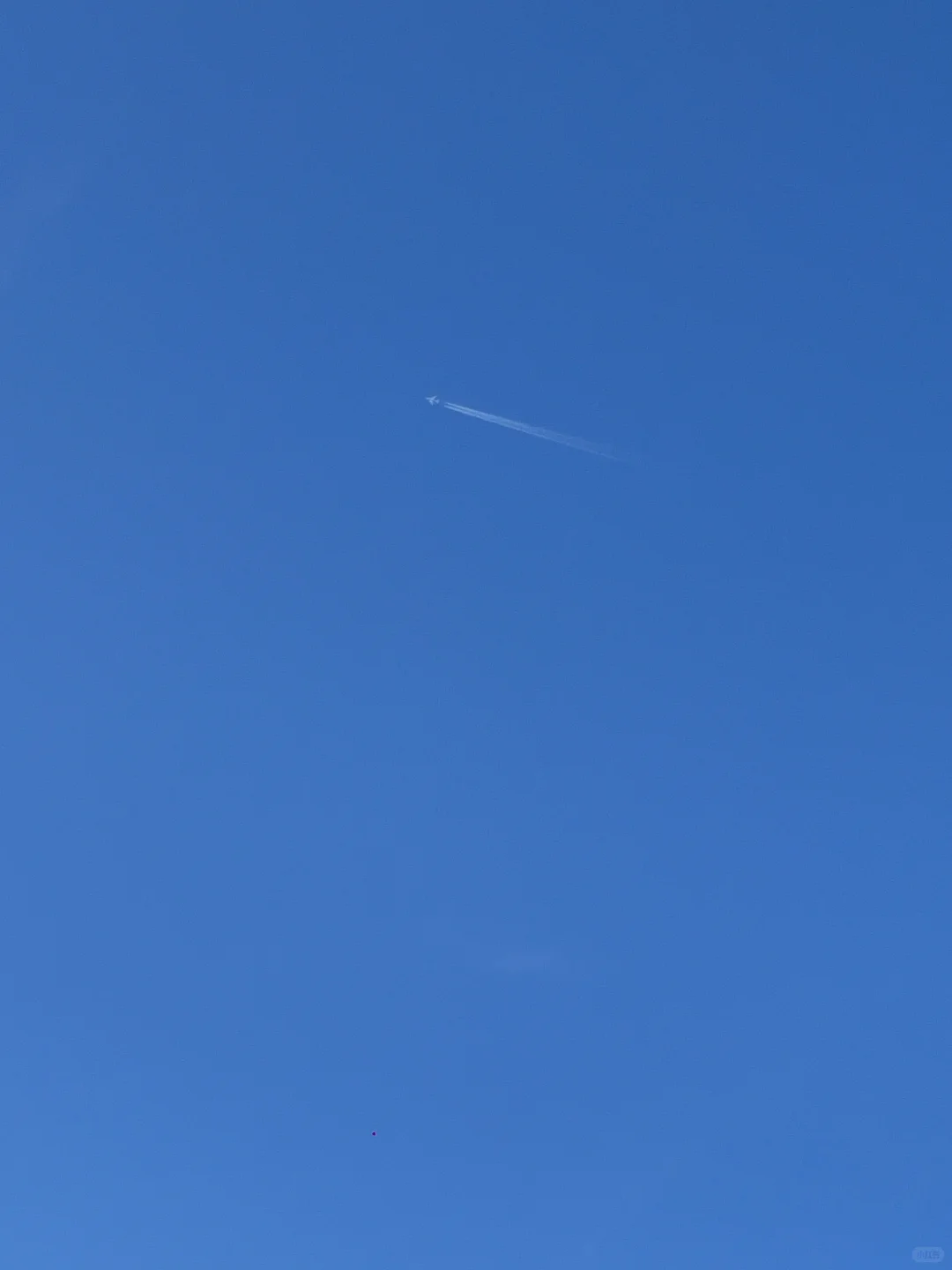 11.16日晨跑🏃‍♀️11.16Km