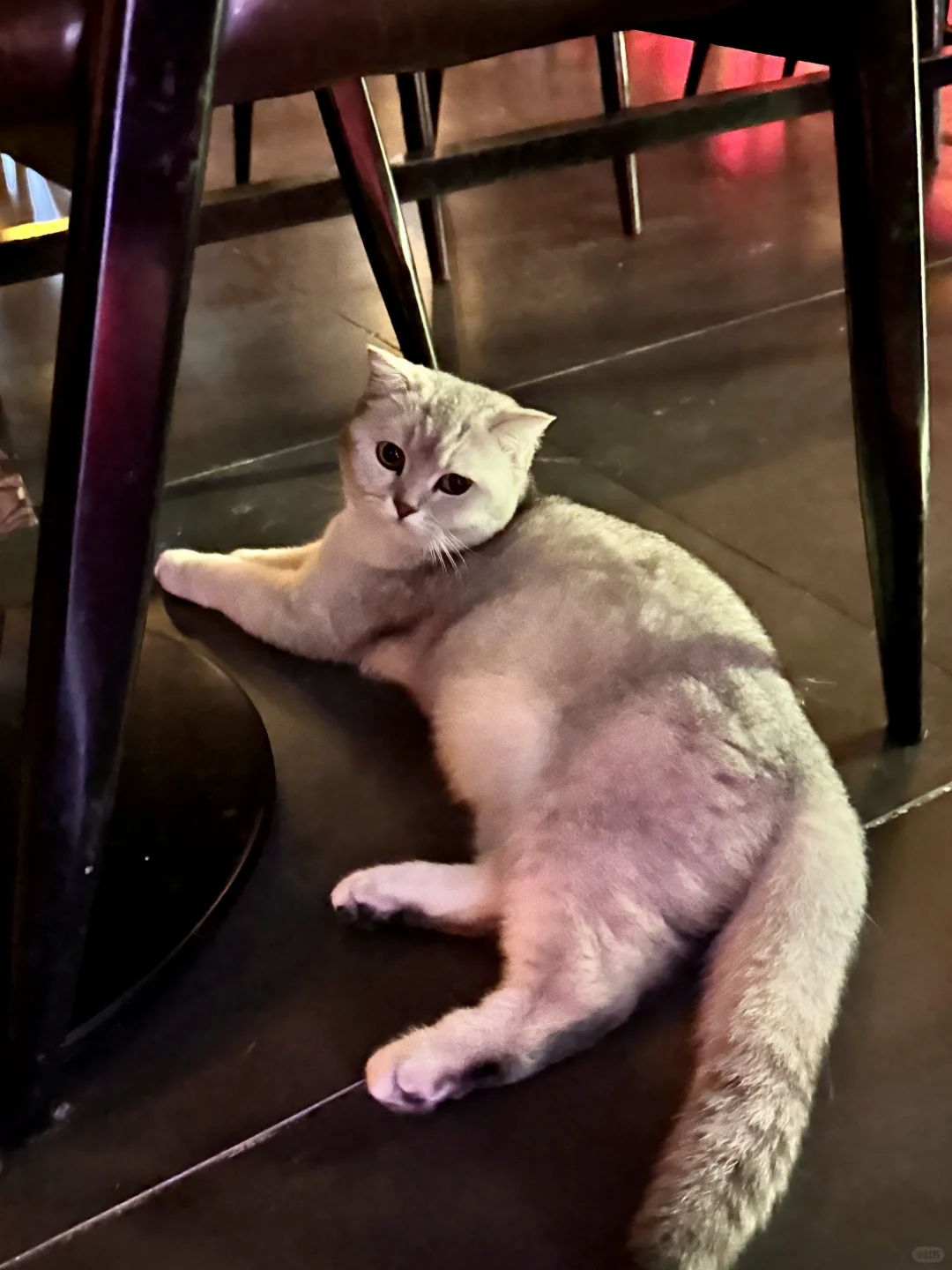 济南！！8901民谣酒馆🍹🎶独特的音乐角落