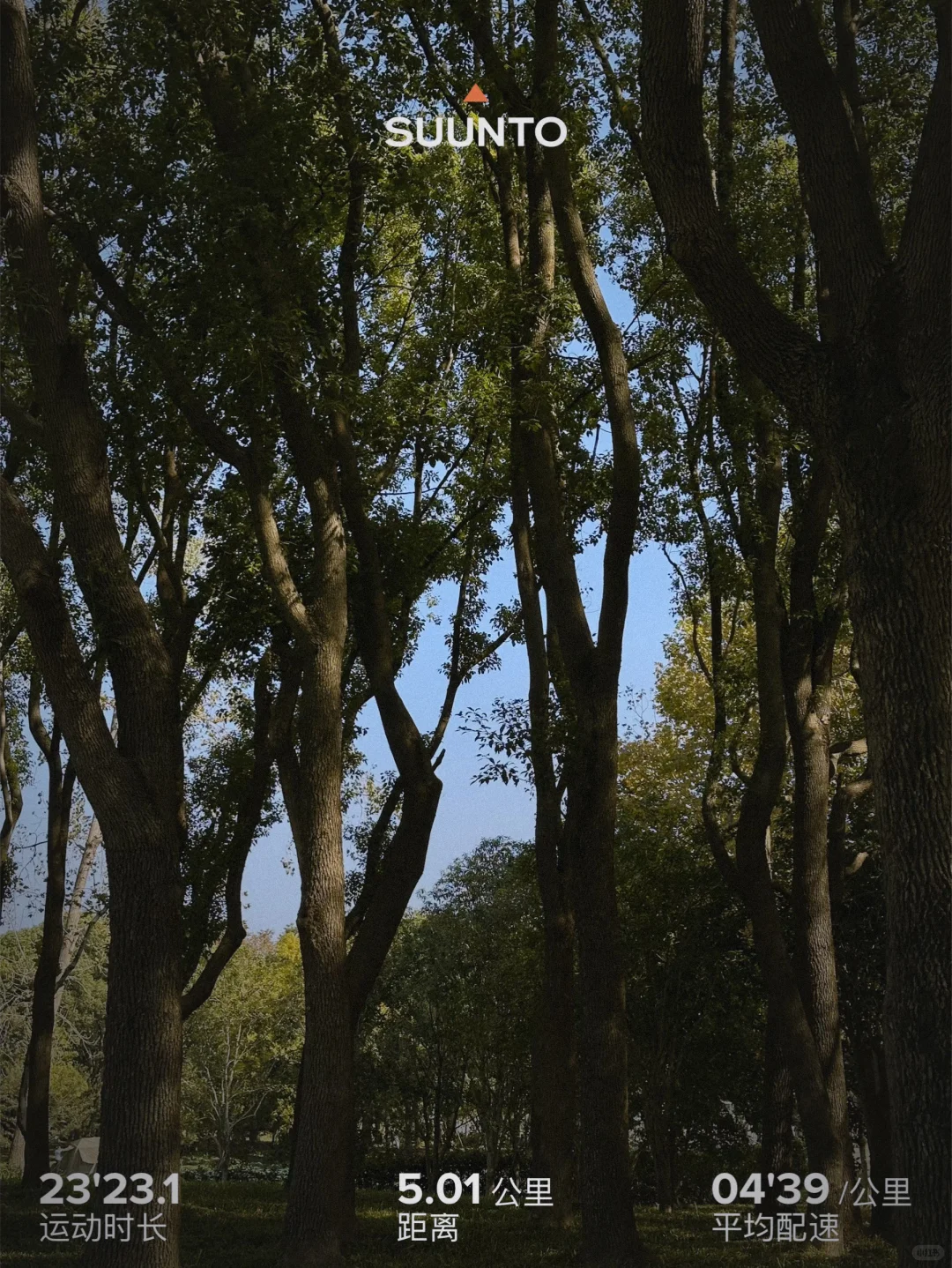 🏃‍➡️跑步的快乐随拍📷