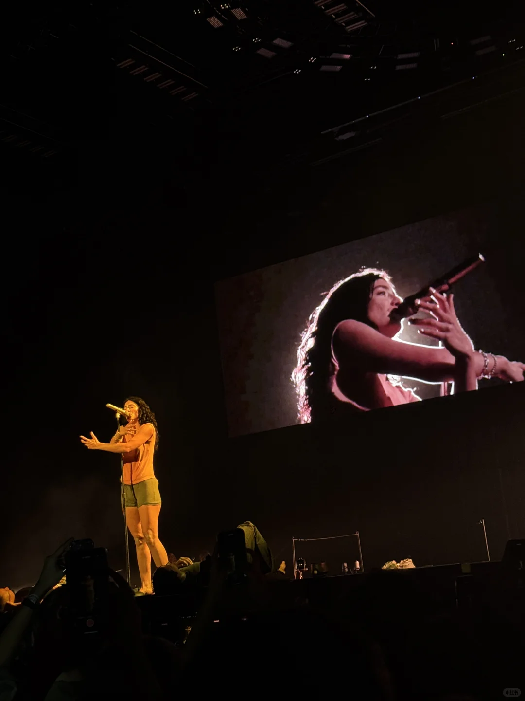 Lorde演唱会完全是个伟大的艺术品