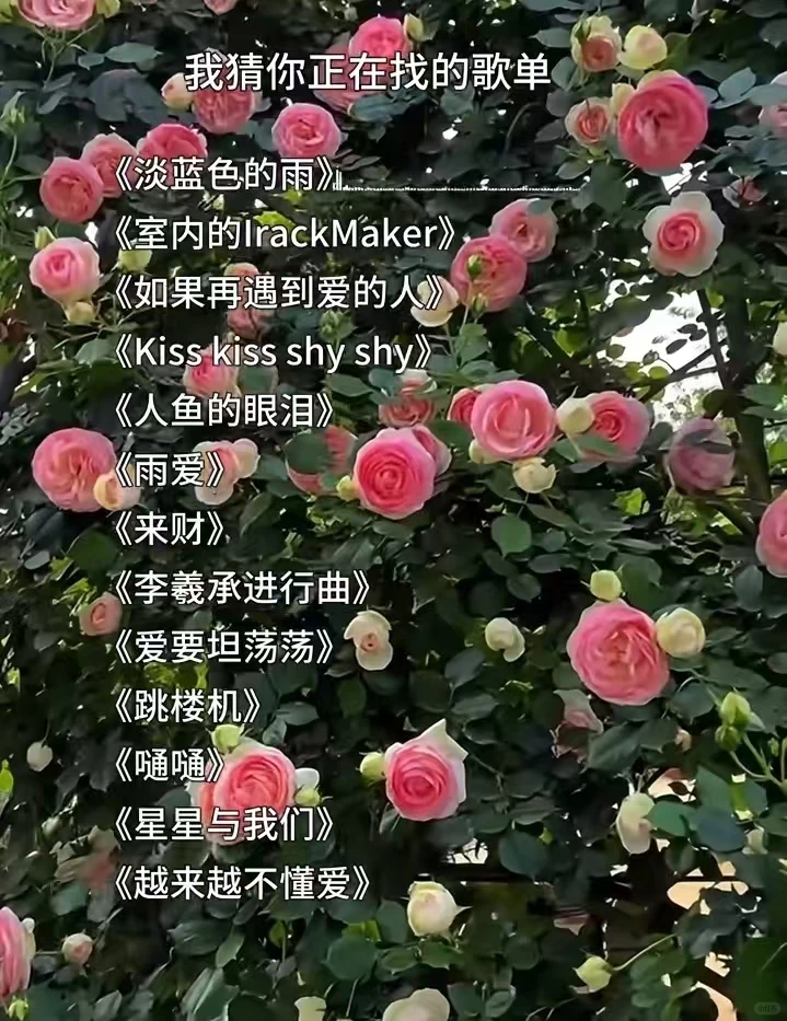 最近全网超火的歌