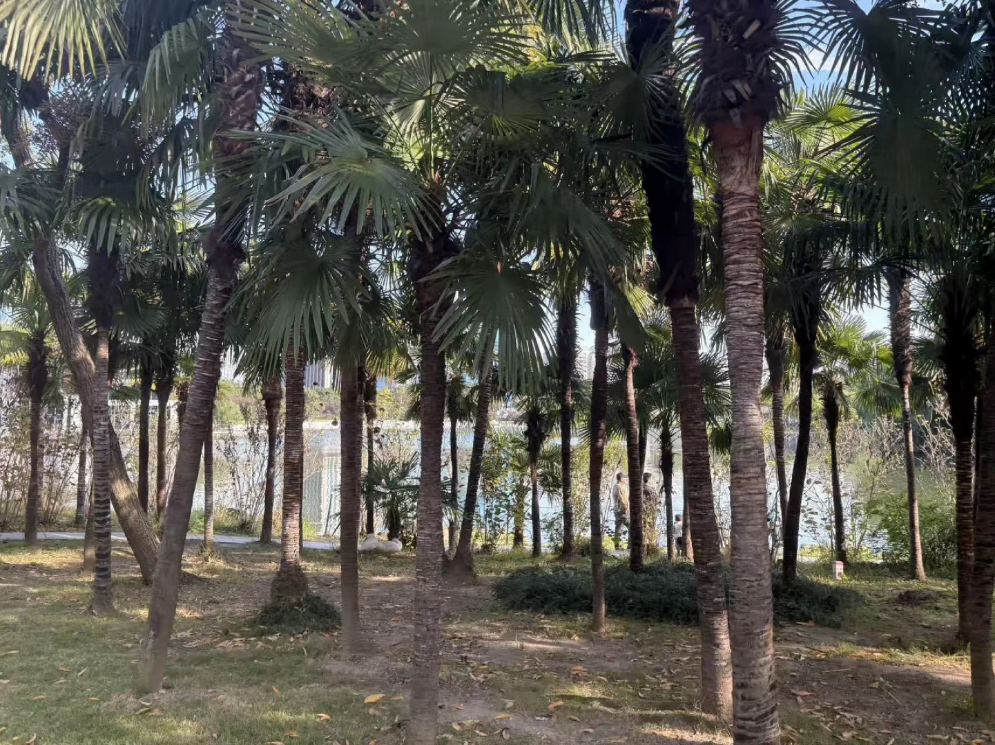 【跑步】一个愉快的周末