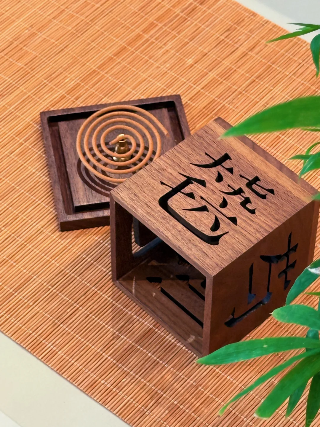 我的练琴搭子们可爱到膨胀！音乐生宝藏清单