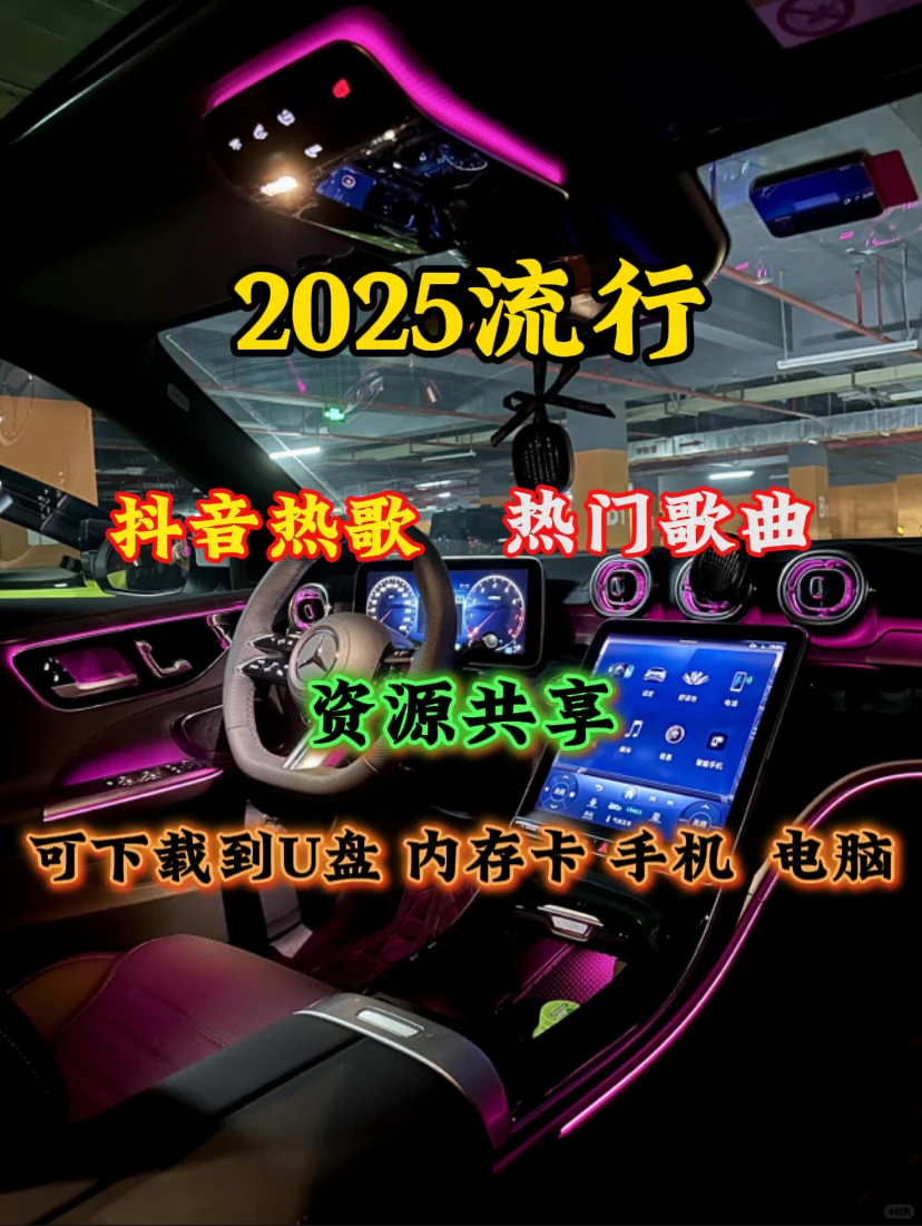🎵【车载音乐党必存！无损音质歌单合集】