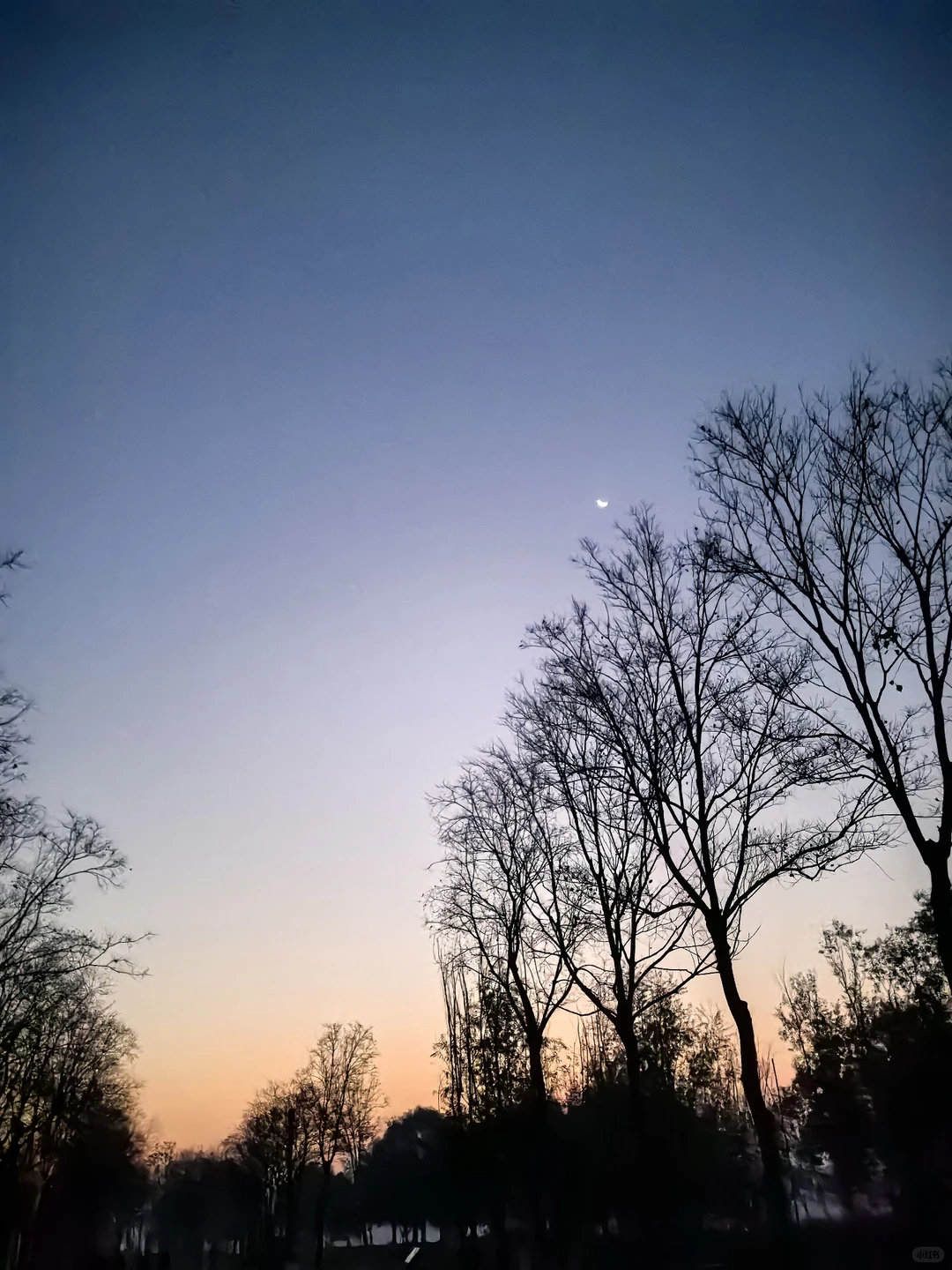 🏃🏃🏃周末的快乐来自于晨跑16公里