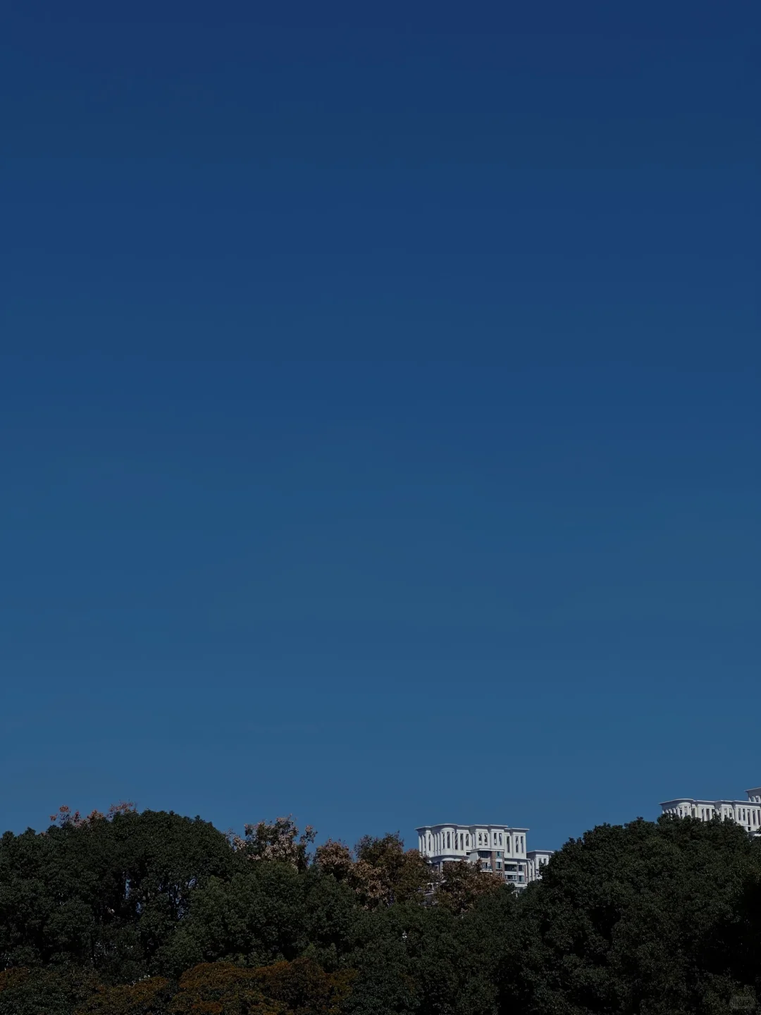 🏃‍➡️跑步的快乐随拍📷