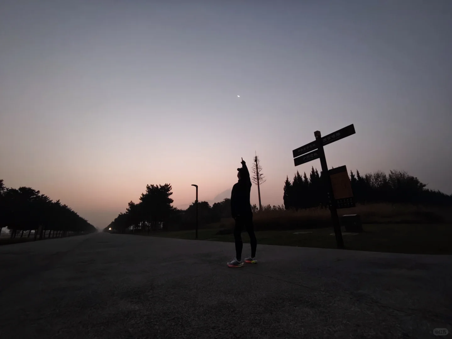 披星戴月的跑步