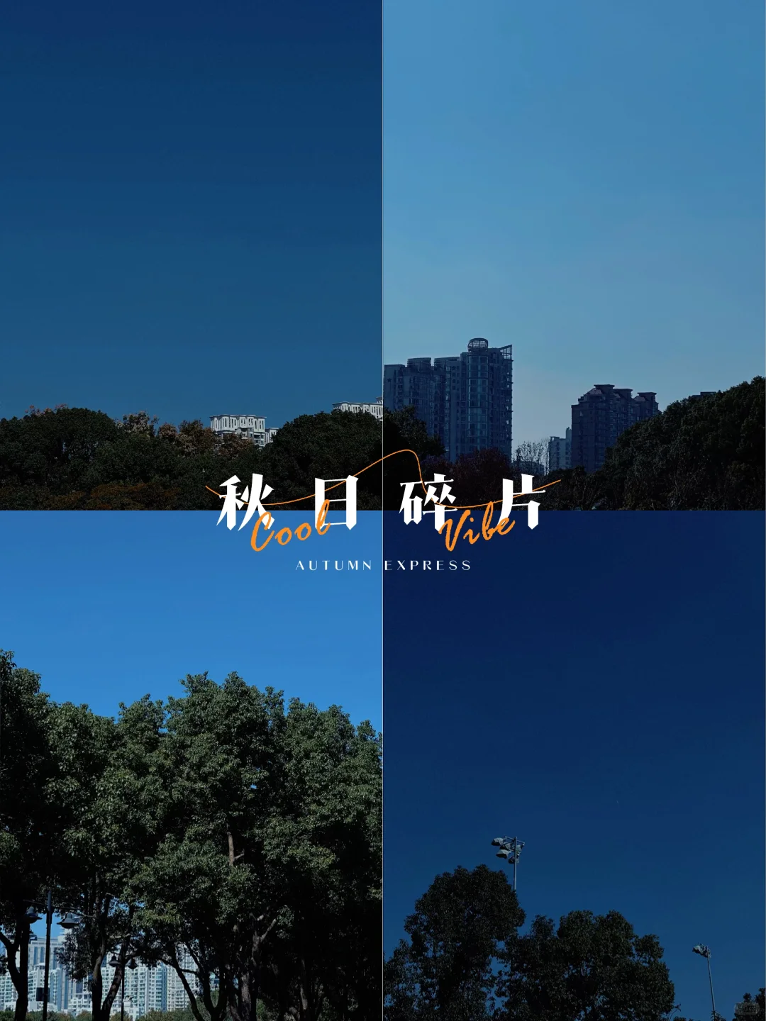 🏃‍➡️跑步的快乐随拍📷
