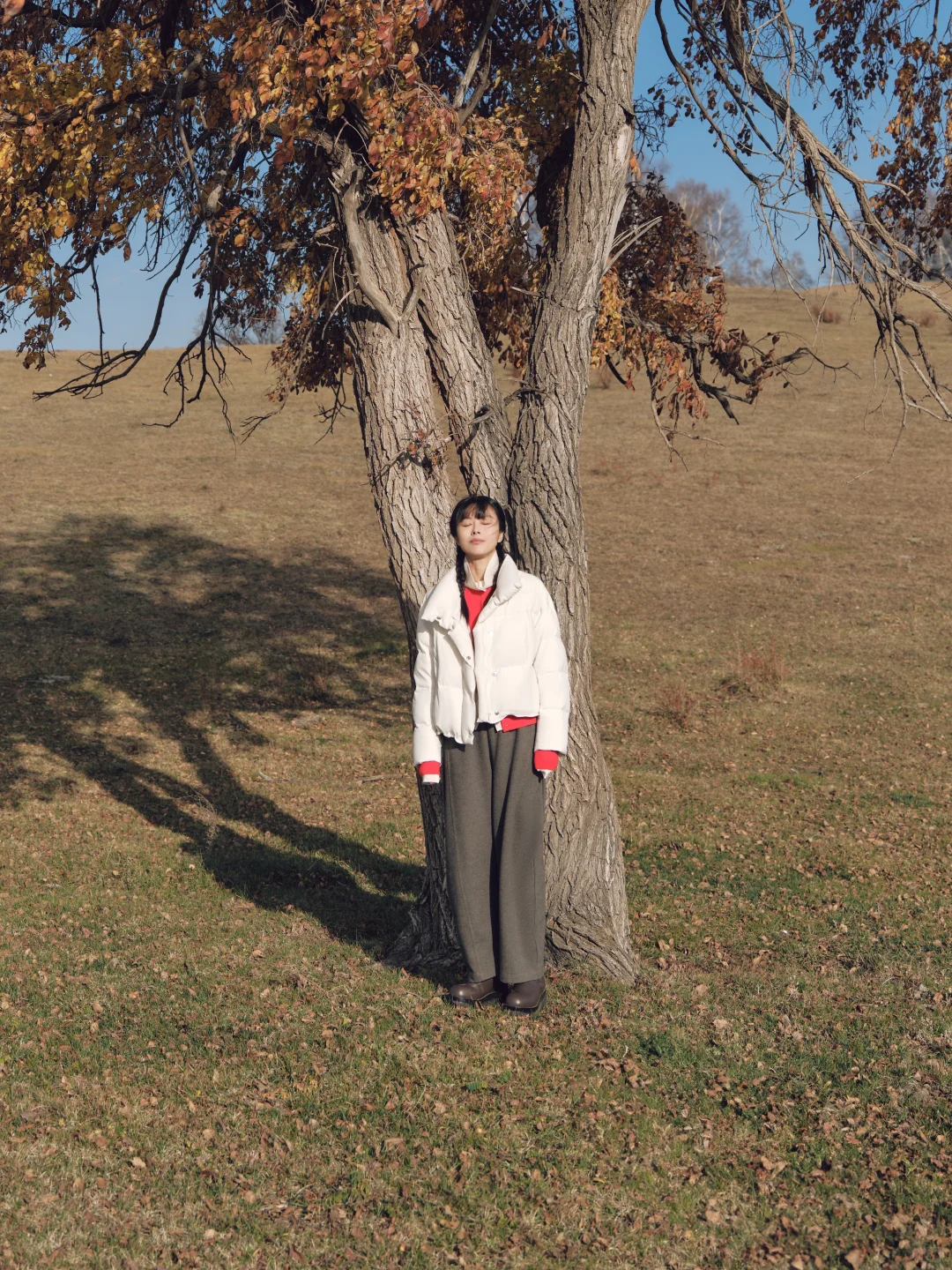 数九拍｜风的序曲