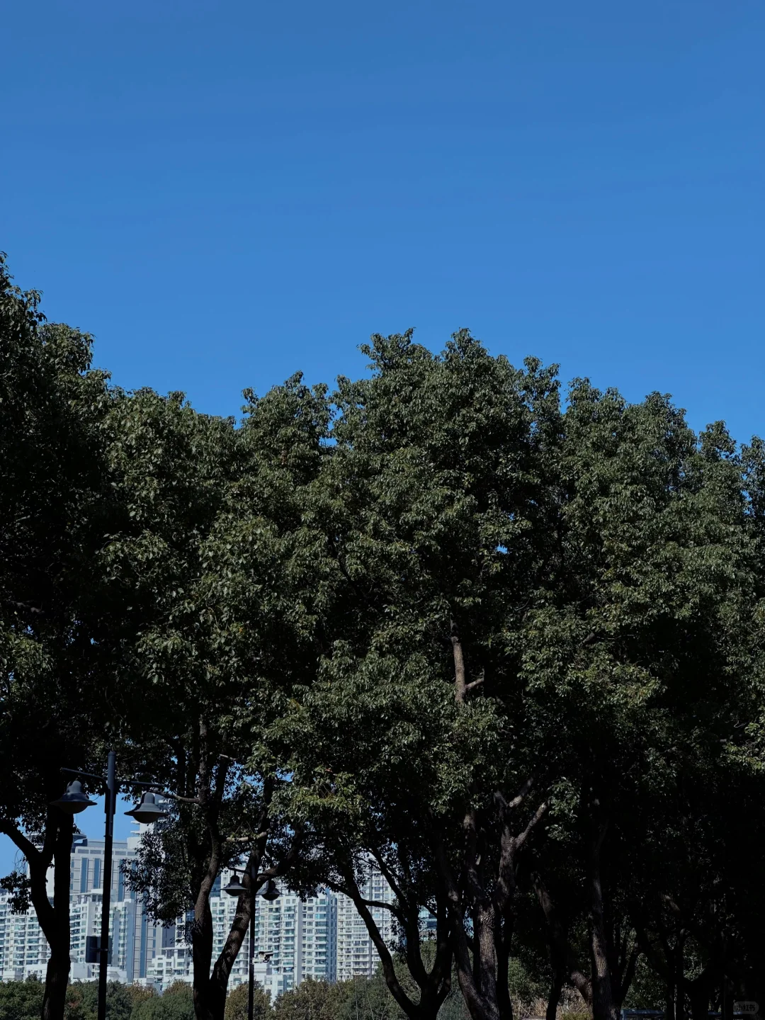 🏃‍➡️跑步的快乐随拍📷