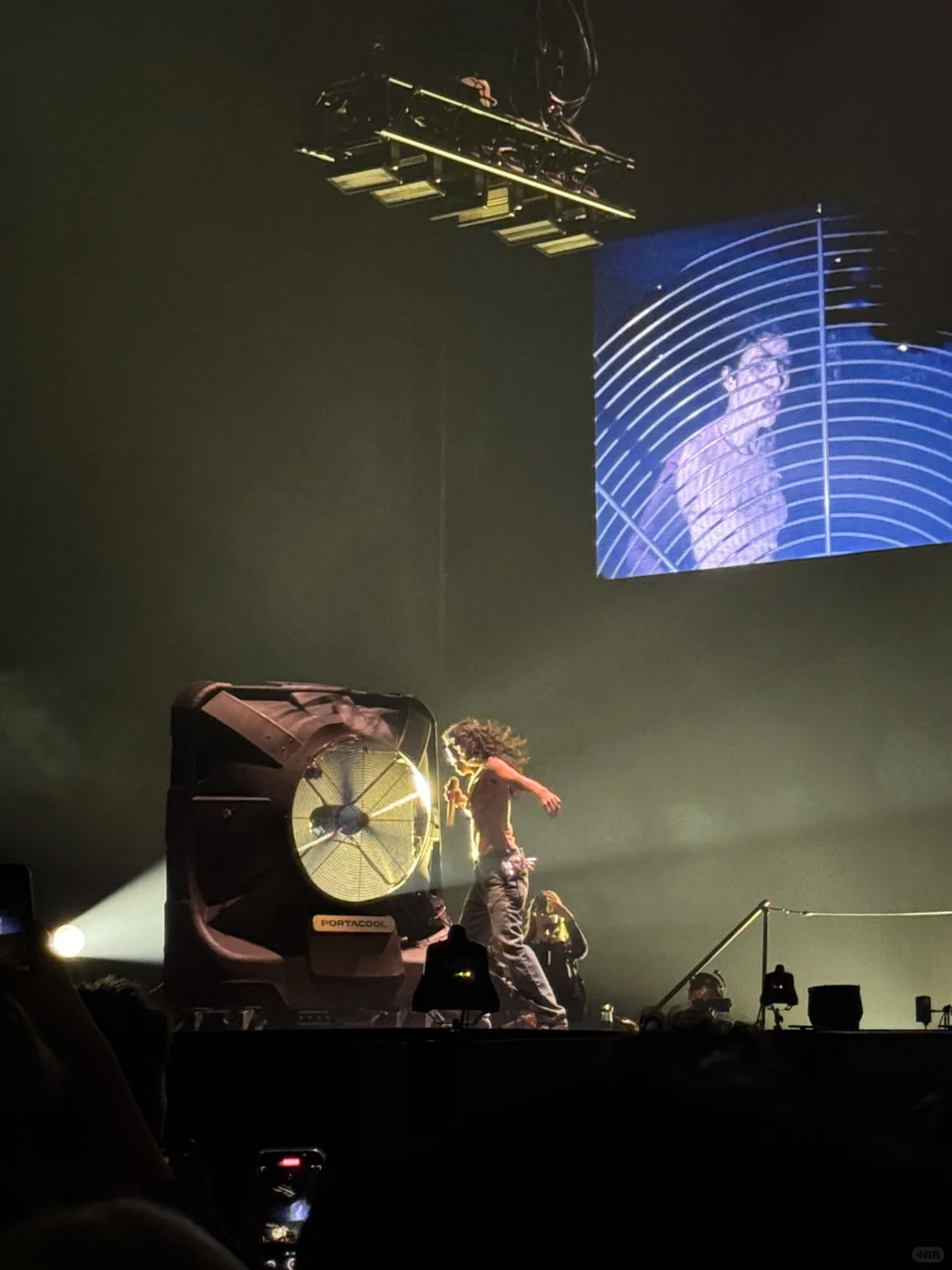 Lorde演唱会完全是个伟大的艺术品