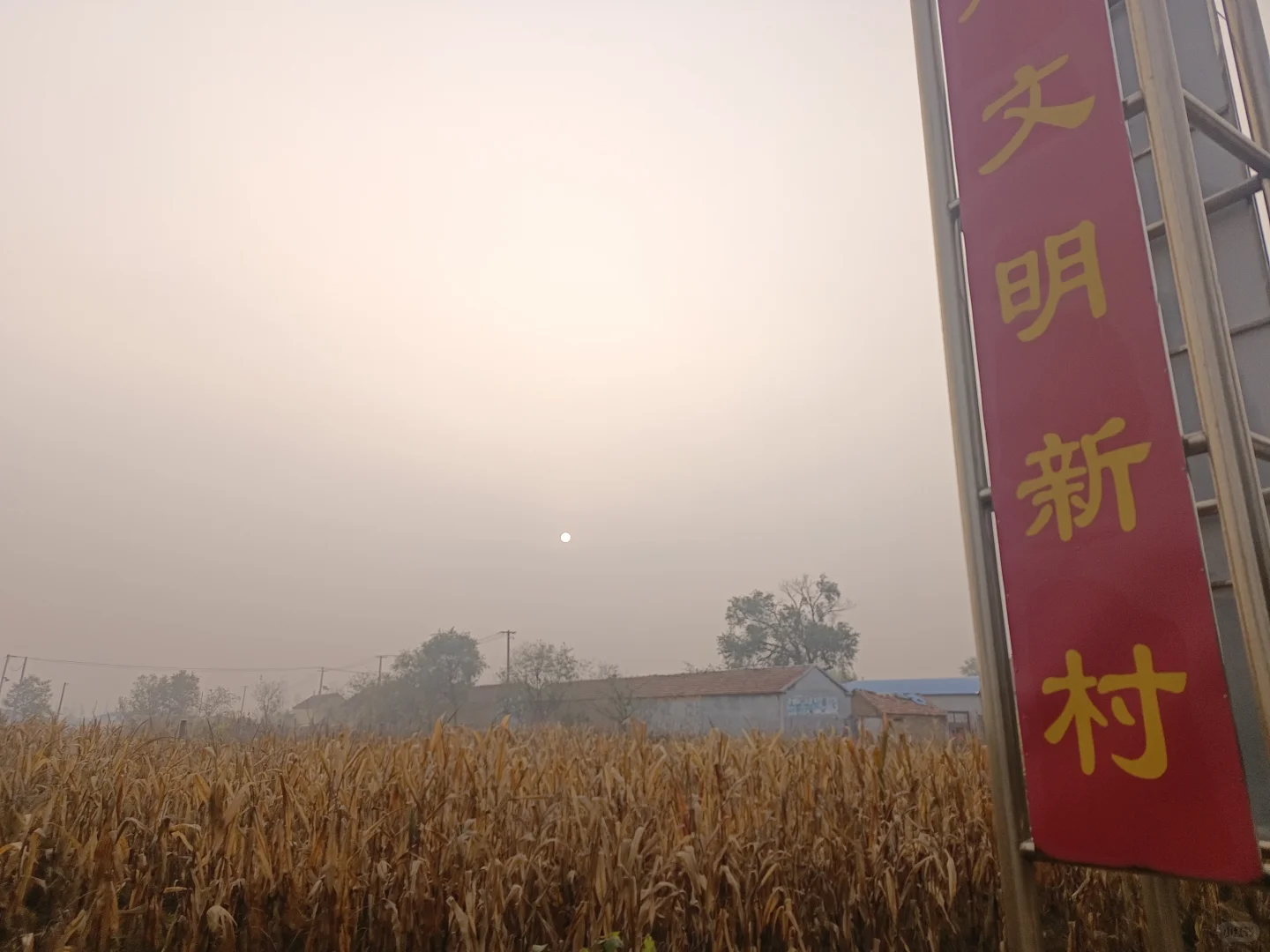 真香！晨跑配速记录📝