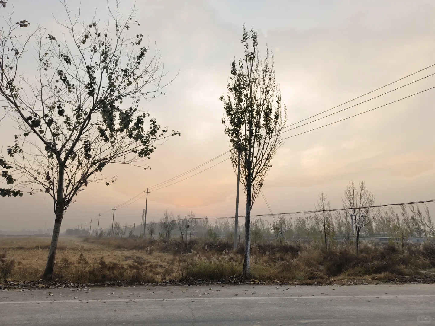 真香！晨跑配速记录📝