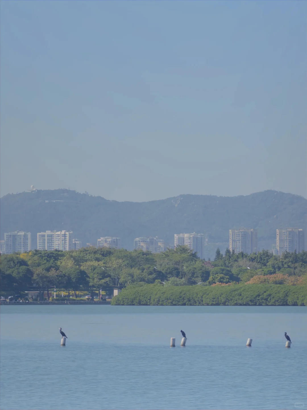 随便跑跑就好咯