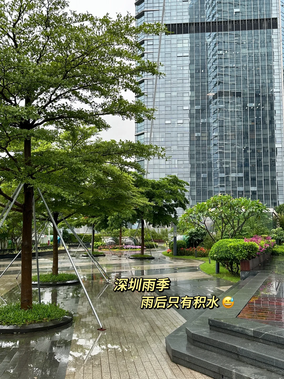 吐血整理❗剪辑师歌单分享🔥还不来抄作业