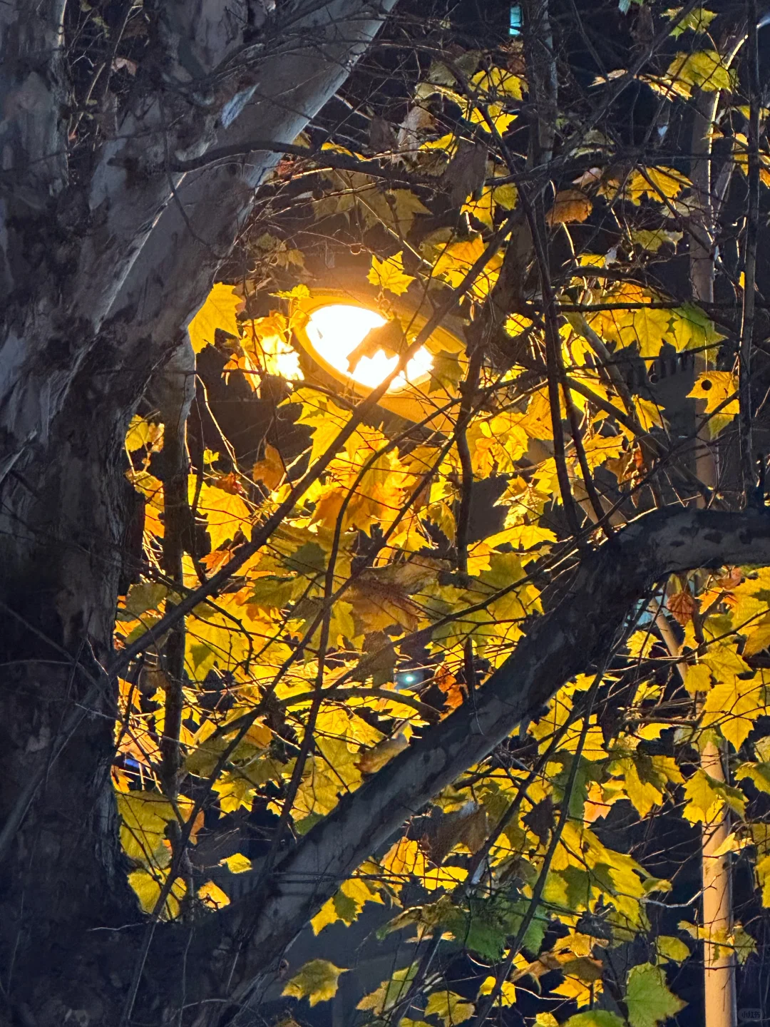 实况配音乐，真的绝美～～
